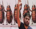 ஞானேஷ் குமார் ராஜினாமா செய்யாவிட்டால் போராட்டம்..! கரப்பான் பூச்சி ஜனதா கட்சி எச்சரிக்கை..!!