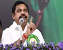 தவெக-வின் குதிரை பேர அரசியலுக்கு கண்டனம்! அதிமுக பொதுச் செயலாளர் எடப்பாடி பழனிசாமி அறிக்கை!