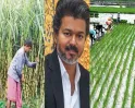 நெல், கரும்பு விவசாயிகளுக்கு டபுள் டமாக்கா..!! ஊக்கத்தொகை அதிகரிப்பு... முதல்வர் விஜய் பேரவையில் அறிவிப்பு..!!