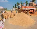 விவசாயிகள் கவனத்திற்கு..! நெல் கொள்முதல் நிலையங்களில் குறைபாடா.? புகாரளிக்க வாட்ஸ் அப் எண் அறிமுகம்.!!