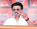 தாராபுரத்தில் நாளை திமுக தலைவர் மு.க.ஸ்டாலின் பிரச்சாரம்! திமுக வேட்பாளர் சுகன்யாவை ஆதரித்து ரோடு ஷோ!