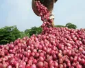 ரேஷன் கடைகளில் விற்றுத்தீர்ந்தது வெங்காயம்! 1,000 டன் கேட்டு மத்திய அரசிடம் தமிழக அரசு கோரிக்கை!