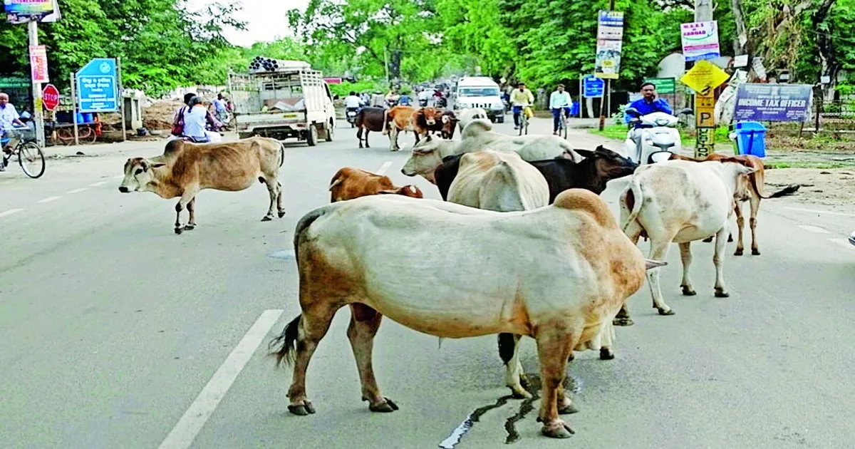 Nellai corporation 2000 fine announcement