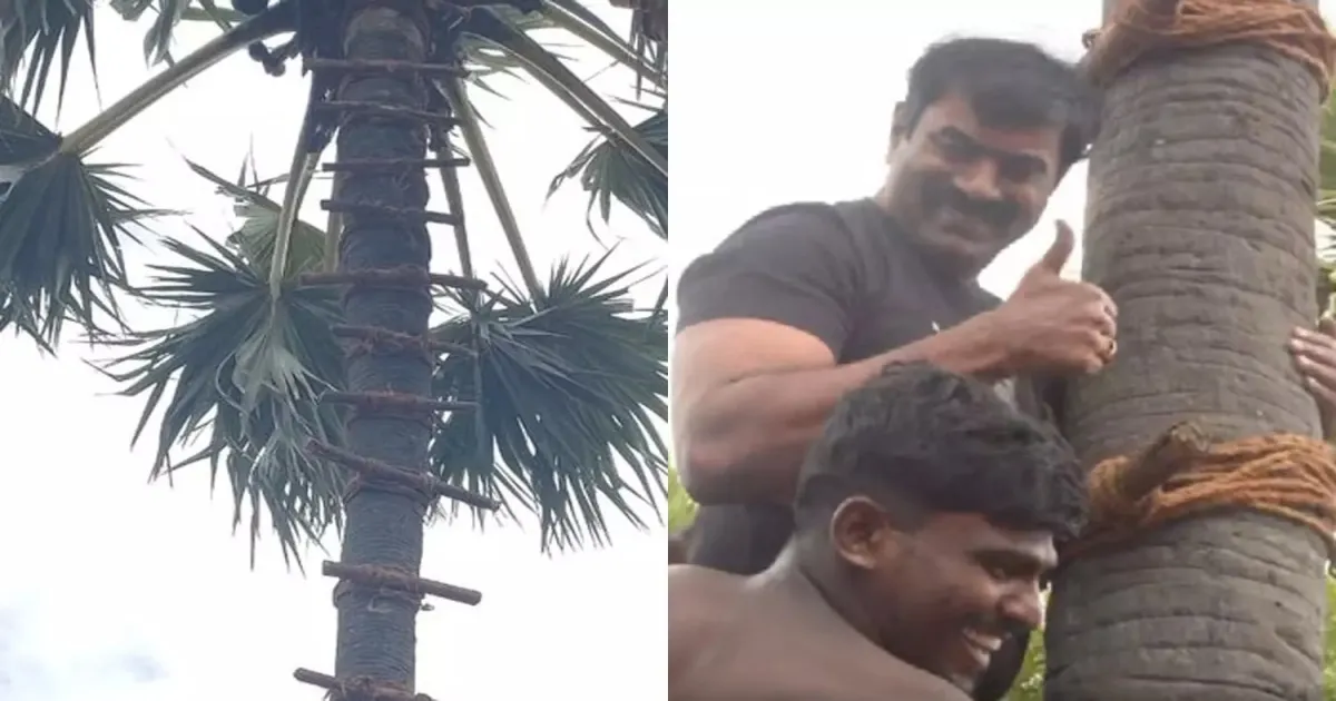 போறவன், வர்றவன் எல்லாம் சவால் விடுறான்... நாதகவை சிரிப்பாய் சிரிக்க வைத்த சீமான்... தவிக்கும் தம்பிகள்...!
