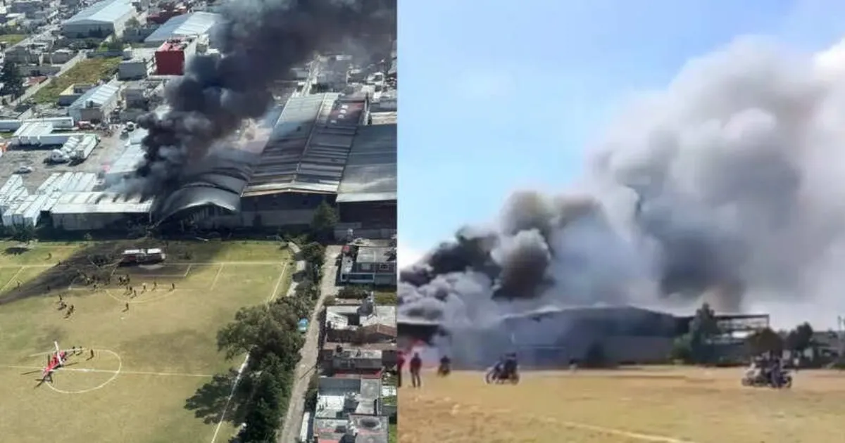 Plane Crash: மெக்சிகோவில் கட்டிடம் மீது விழுந்து நொறுங்கிய ஜெட் விமானம்... அதிர வைக்கும் பலி எண்ணிக்கை...! 