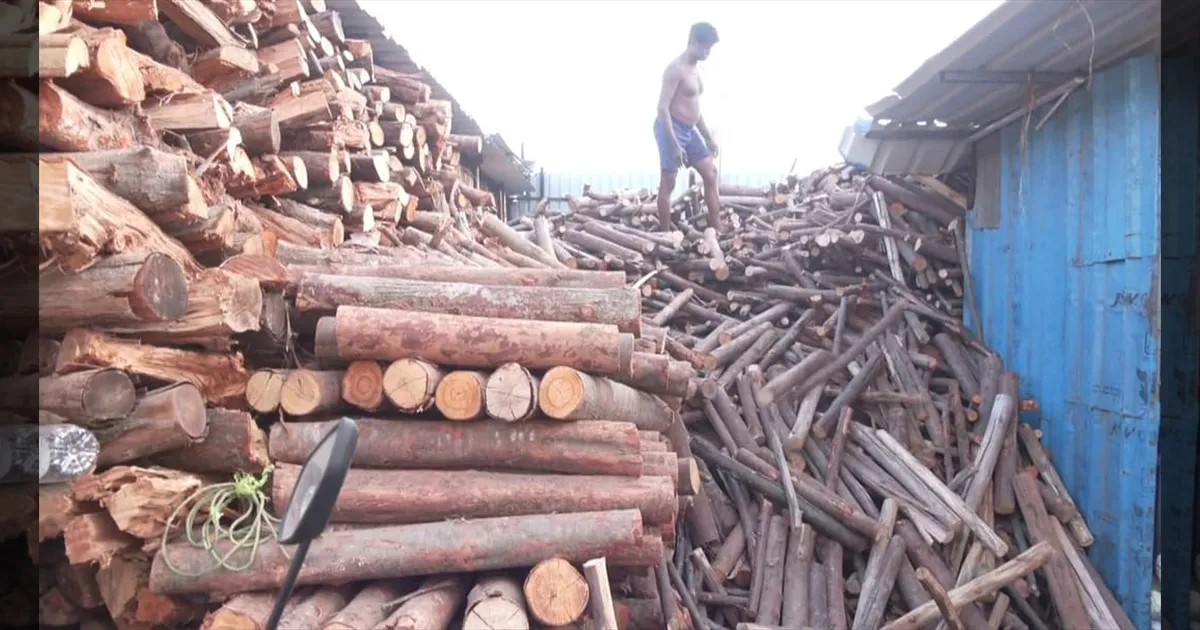 கியாஸ் சிலிண்டர் தட்டுப்பாடு... மாற்று வழி தேடும் மக்கள்... விறகுகள் விற்பனை 2 மடங்கு அதிகரிப்பு..!!