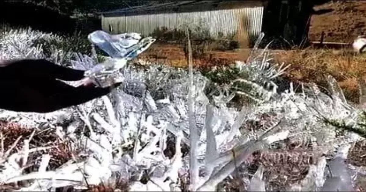  உஷார் மக்களே..! உதற போகுது... நீலகிரி, கொடைக்கானலுக்கு உறைபனி எச்சரிக்கை...! 