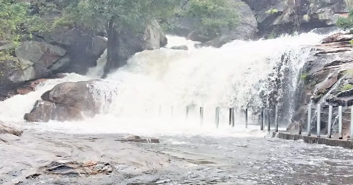 பஞ்சலிங்க அருவியில் ஆர்ப்பரிக்கும் வெள்ளம்... ஆக்ரோஷமாக ஆர்ப்பரித்துக் கொட்டும் தண்ணீர்...!