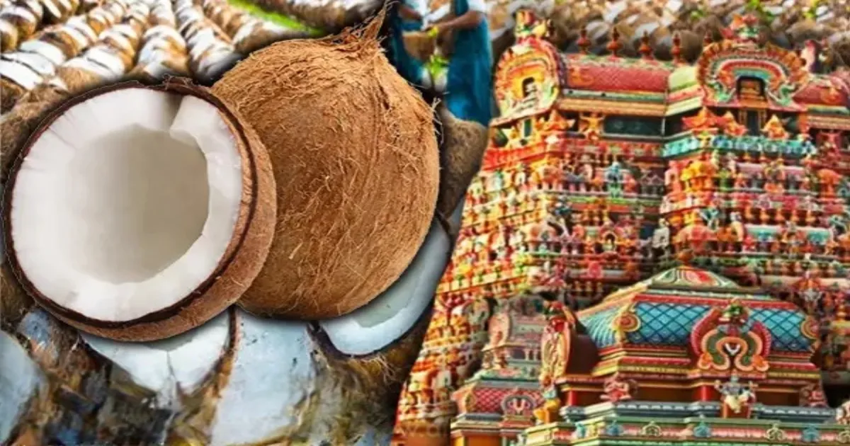 coconut-rate-hike-kerala-devotees-suffer