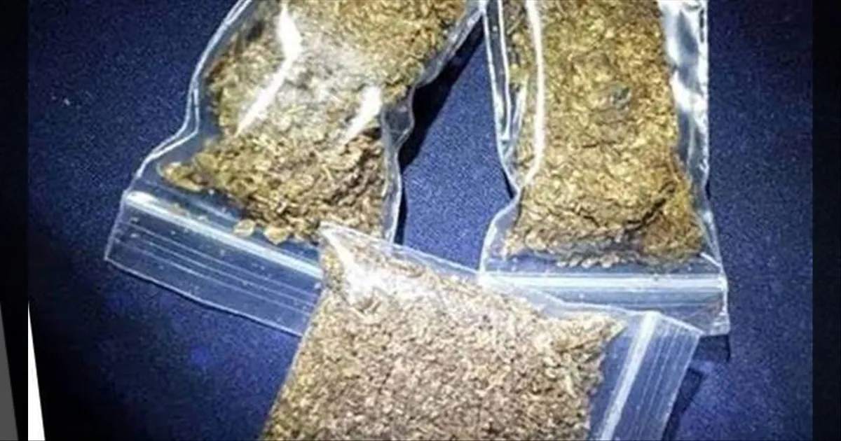 தேர்தல் பறக்கும்படை நடத்திய அதிரடி சோதனை..! 30 கிலோ கஞ்சா பறிமுதல்..!!