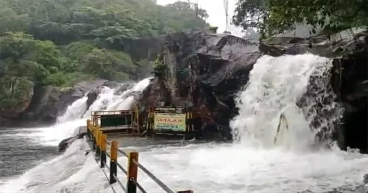 பேய் மழை..! ஆர்ப்பரிக்கும் தண்ணீர்..! மணிமுத்தாறு அருவியில் குளிக்க  6வது நாளாக தடை..!!