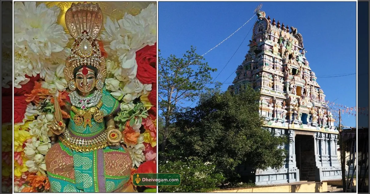 அறநிலையத்துறைக்கு எதிர்ப்பு... பொதுமக்கள் வாக்குவாதம்... பச்சைவாழியம்மன் கோவிலில் பரபரப்பு..! 