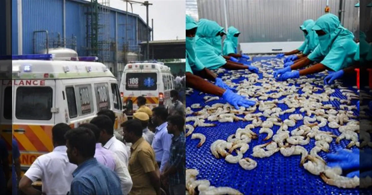 திருவள்ளூரை உலுக்கிய கோரச் சம்பவம்...! அம்மோனியா வாயுக்கசிவு வழக்கு... 3 பேருக்கு நிபந்தனை ஜாமின்..!!