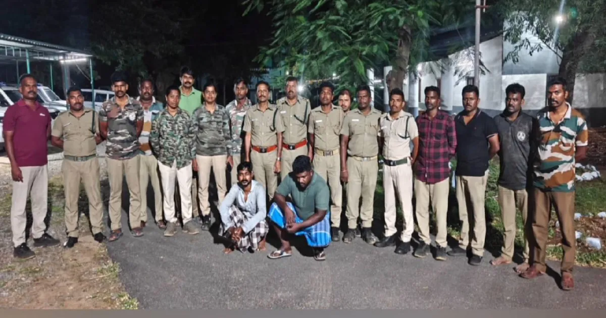 குமரியில் வெடிகுண்டு வைத்து கடமான் வேட்டை! 2 பேர் கைது; வனத்துறை நடவடிக்கை!
