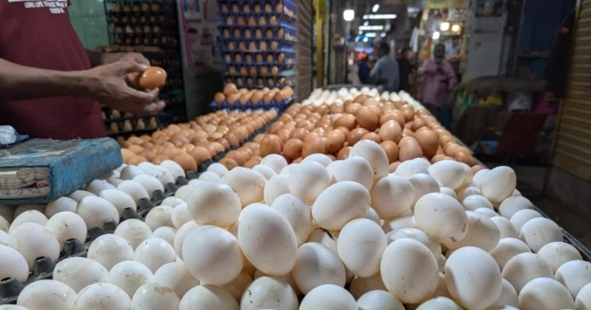 Egg rate Increased in tomorrow 