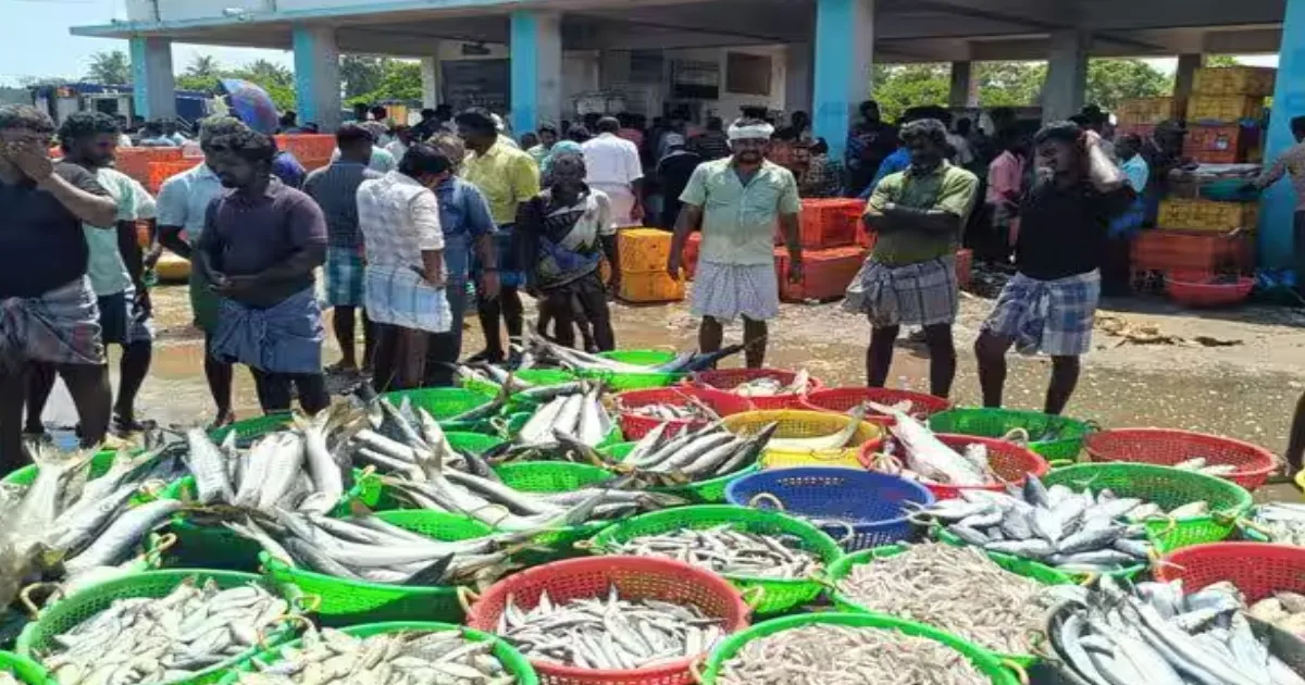 நள்ளிரவு முதலே அதிரடி உத்தரவு... இன்று முதல் எகிறப்போகும் மீன்களின் விலை... ஷாக்கில் மக்கள்...!