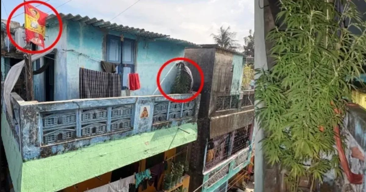 வீட்டிற்குள் தவெக ஆதரவாளர் செய்த பகீர் காரியம்... ஸ்டன் ஆன சென்னை... தட்டித்தூக்கிய போலீஸ்..!!