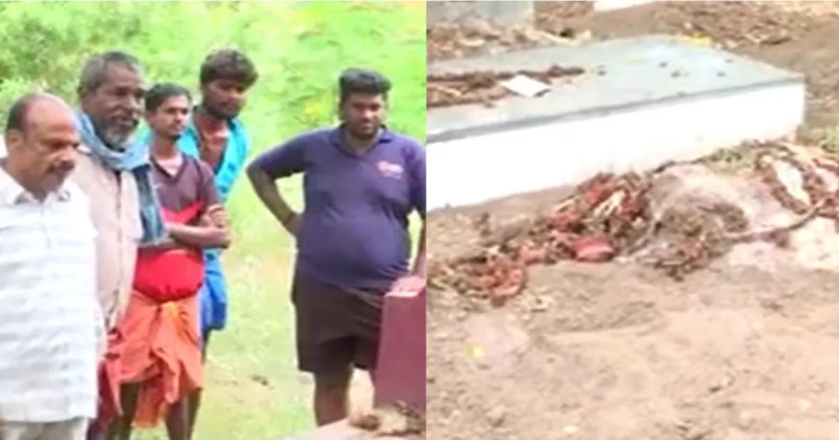 பொணத்தைக் கூட விடமாட்டீங்களா?... கோவையில் சடலத்தை தோண்டி எடுத்து நடந்த கொடூரம்...!