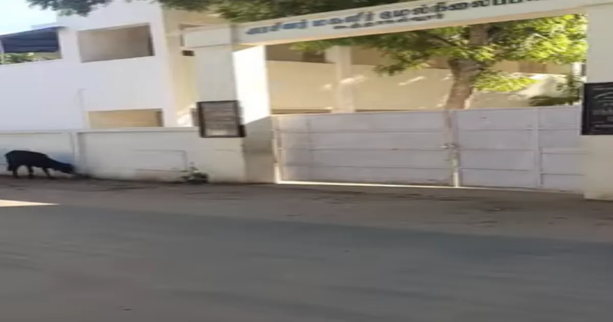 பெண் பிள்ளைகள் படிக்கும் அரசு பள்ளியில் அட்ராசிட்டி... தலைமையாசிரியரை அடிக்க பாய்ந்த தவெக நிர்வாகியால் பரபரப்பு...!