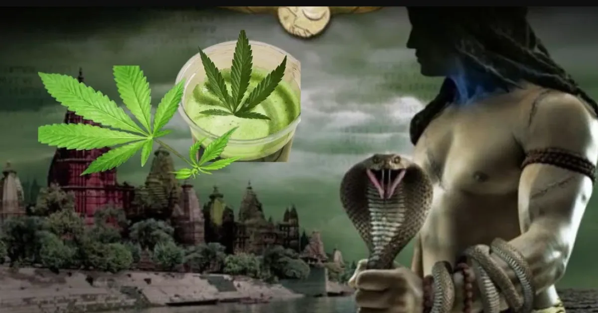 சிவபெருமான் கஞ்சா வாங்கச் சொன்னாரா?... காட்பாடியில் போதை சாமியார் சிக்கியது எப்படி?
