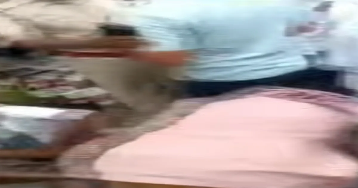 ஈரோட்டில் பட்டியலின மக்களுக்கு நேர்ந்த கொடூரம்... வேடிக்கை பார்த்த காவல்துறை, அரசு அதிகாரிகளால் சர்ச்சை...!