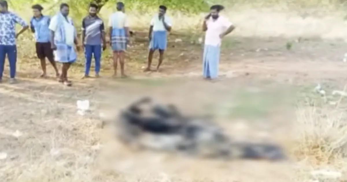 கிருஷ்ணகிரியில் அதிபயங்கரம்; பெட்ஷீட், தென்னை ஓலைகளால் சுற்றி 2 இளைஞர்கள் எரித்து கொலை? - 2 கோர உடல்கள் கண்டுபிடிப்பு...!