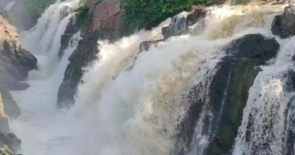 hogenakkal cauvery waterinflow-increased