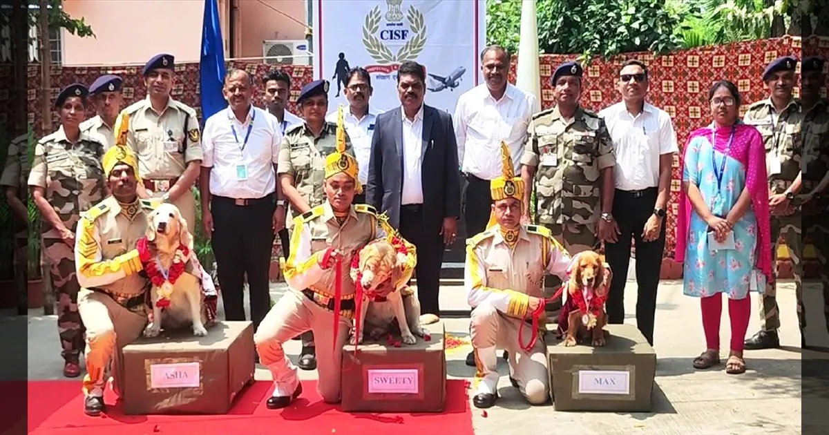 ஆஷா, ஸ்வீட்டீ, மேக்ஸ் ஓய்வு! சென்னை விமான நிலையத்தில் புதிதாக பணியில் சேர்ந்த 3 'ஸ்நைப்பர்' நாய்கள்!