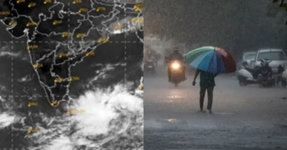 ஆட்டத்தை ஆரம்பித்த ‘டிட்வா’ - கோடியக்கரையில் கொட்டித்தீர்த்த கனமழை... ஒரே நாளில் 25.08 செமீ மழை பதிவு...!