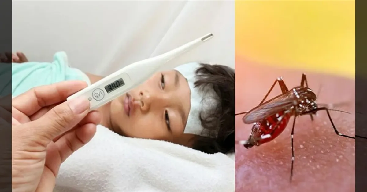 டெங்குவுக்கு முடிவுகட்டும் புதிய தடுப்பூசி! இந்தியாவில் முதல் முறையாக கிடைத்த அங்கீகாரம்!!