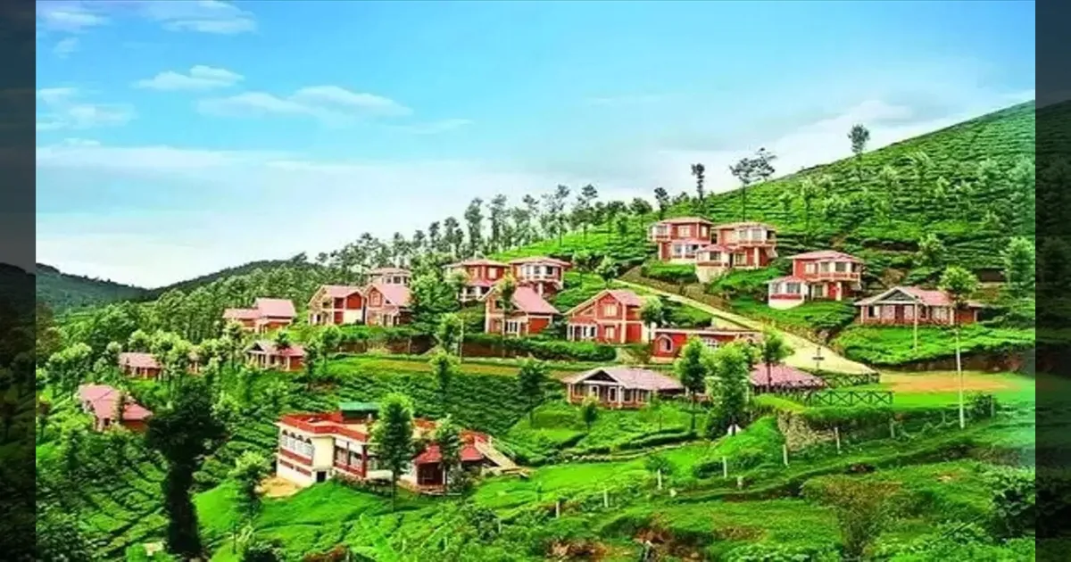 கனமழையால் உருக்குலைந்த குன்னூர், கோத்தகிரி சாலைகள்..! சீரமைக்க டெண்டர்..!! அரசு தீவிர நடவடிக்கை.!!