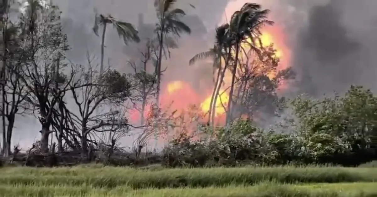 நாட்டையே உலுக்கிய பயங்கரம்... 13 பேர் உடல் சிதறி பலி... பட்டாசு ஆலை விபத்து குறித்து வெளியானது முக்கிய தகவல்...!