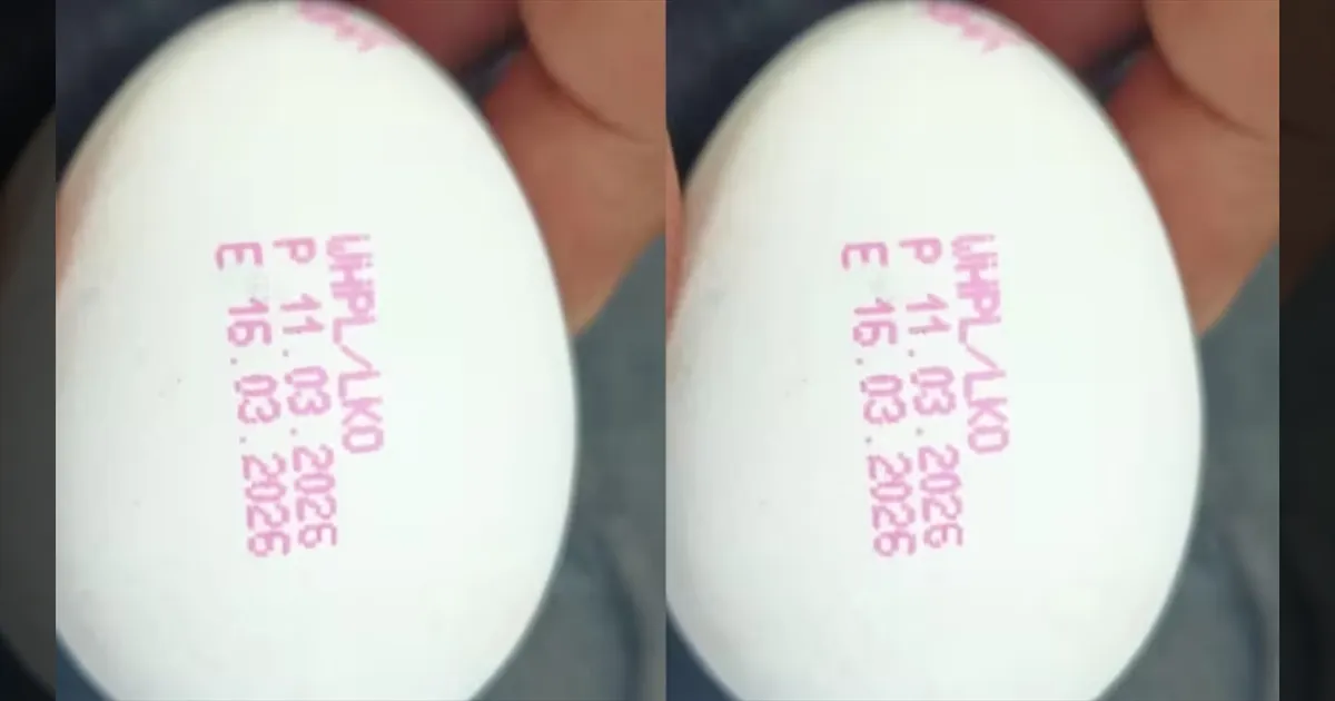 முட்டைக்கு Expiry Date கட்டாயம்! உ.பி அரசு அதிரடி! ஏப்ரல் 1 முதல் அமலாகும் புதிய சட்டம்!