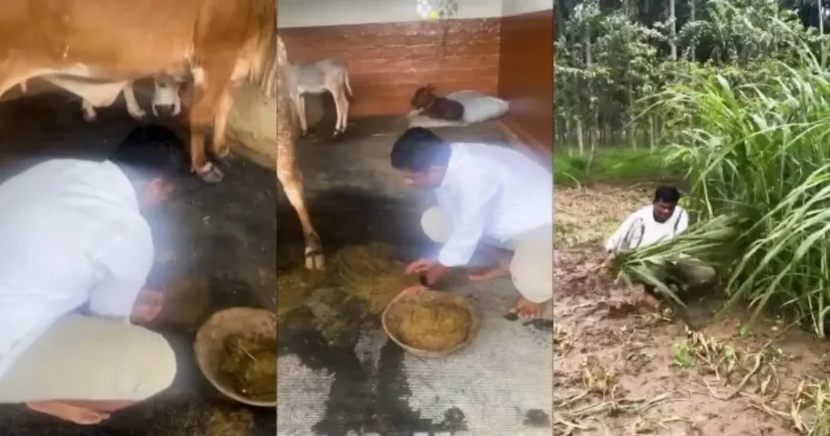 “வெள்ளை சட்டை, ஸ்மார்ட் வாட்ச்” ... மண்டை மேல் இருக்கும் கொண்டையை மறந்த அண்ணாமலை... கலாய்க்கும் நெட்டிசன்கள்...!