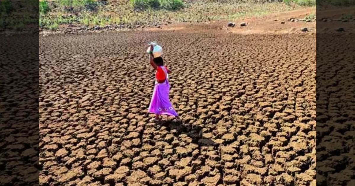 தமிழகம் முழுவதும் தண்ணீர் பற்றாக்குறை! ஒரு லட்சம் ஏக்கர் நெல் சாகுபடி சரிவு! அதிர்ச்சியில் வேளாண்துறை!