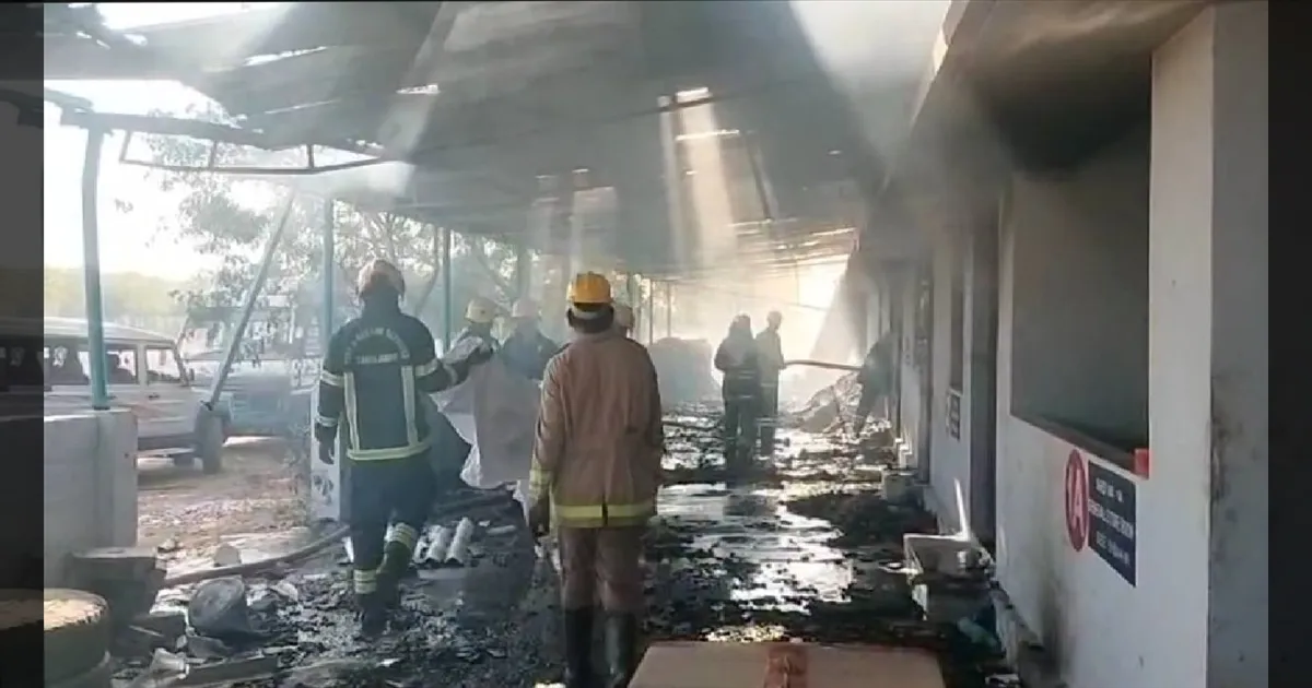 விருதுநகர் பட்டாசு ஆலை வெடிவிபத்தில் கோரம்: 17 தொழிலாளர்கள் உடல் கருகி உயிரிழப்பு!