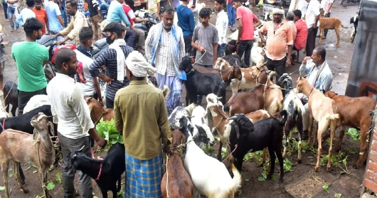 ஆட்டிறைச்சிக்கு விலை நிர்ணயமா? தகவல் பலகை மட்டுமே... விளக்கம் அளித்த தமிழக அரசு!!