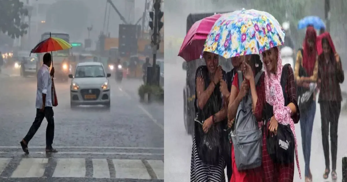 #BREAKING: கனமழை எதிரொலி: செங்கல்பட்டு, திருவள்ளூர், காஞ்சிபுரம் மாவட்டப் பள்ளி, கல்லூரிகளுக்கு நாளை (டிச. 2) விடுமுறை!