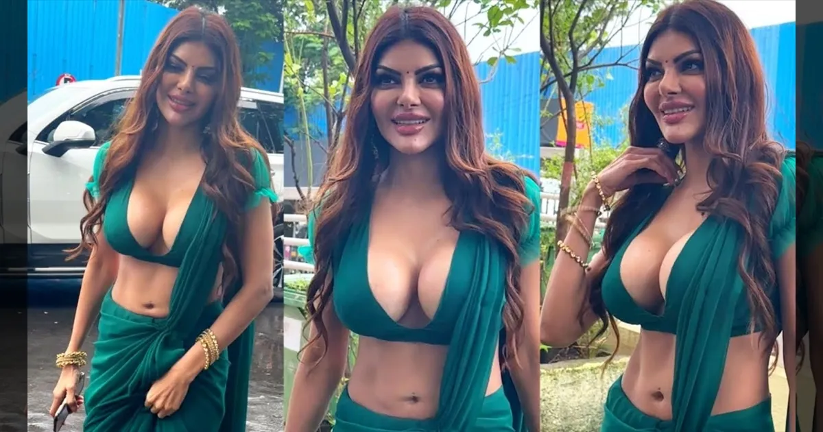 cinema-why-did-actress-sherlyn-chopra-undergo-breast-surgery-tamilcinema