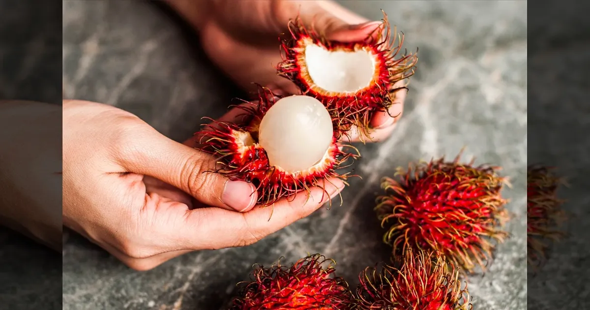 rambutan-fruit-and-its-benefits