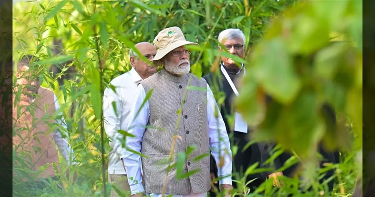 இயற்கையின் மடியில் மெய்சிலிர்க்க வைக்கும் தருணம்! மழைக்காட்டின் அழகில் மெய்மறந்த பிரதமர் மோடி!!