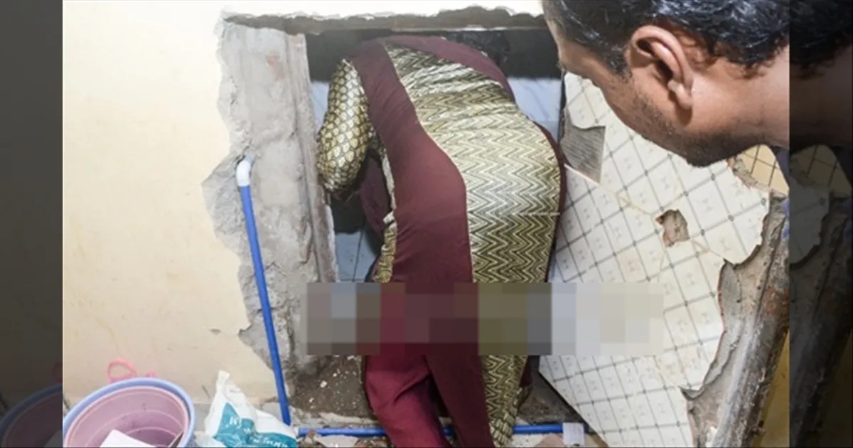 cinema-hindi-actress-arrested-for-prostitution-with-actresses-tamilcinema