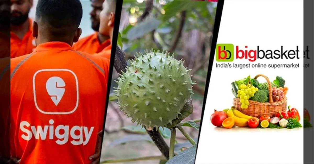 நச்சுத்தன்மை கொண்ட ஊமத்தங்காய் சேல்.. 3 ஆன்லைன் நிறுவனங்களின் உணவு லைசன்ஸ் தற்காலிக ரத்து..!!