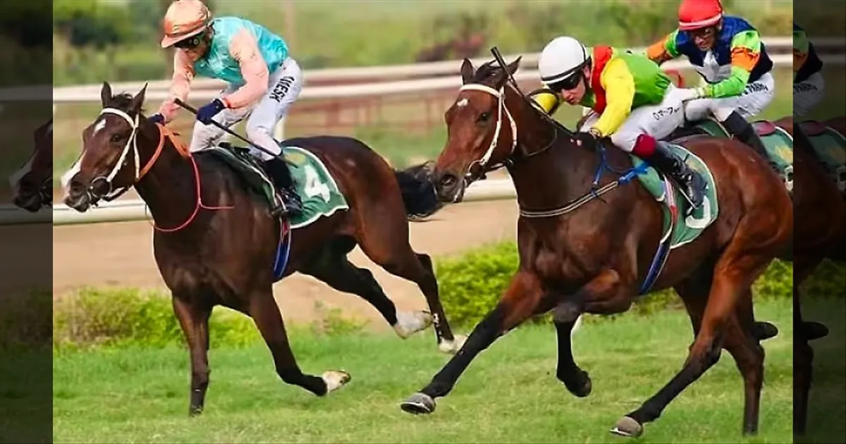 ஆன்லைன் குதிரைப் பந்தயத்திற்கு அனுமதி அளித்த அரசு..!! எந்த மாநிலம் தெரியுமா..??