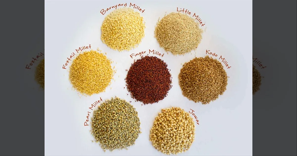 varieties-of-millets-and-his-benefits