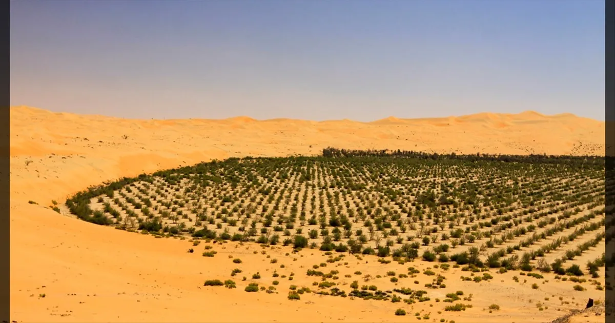 அடேங்கப்பா..!! 100 கோடி மரங்களா..!! அசத்தல் முயற்சியில் இறங்கியது சவுதி அரேபியா..!!