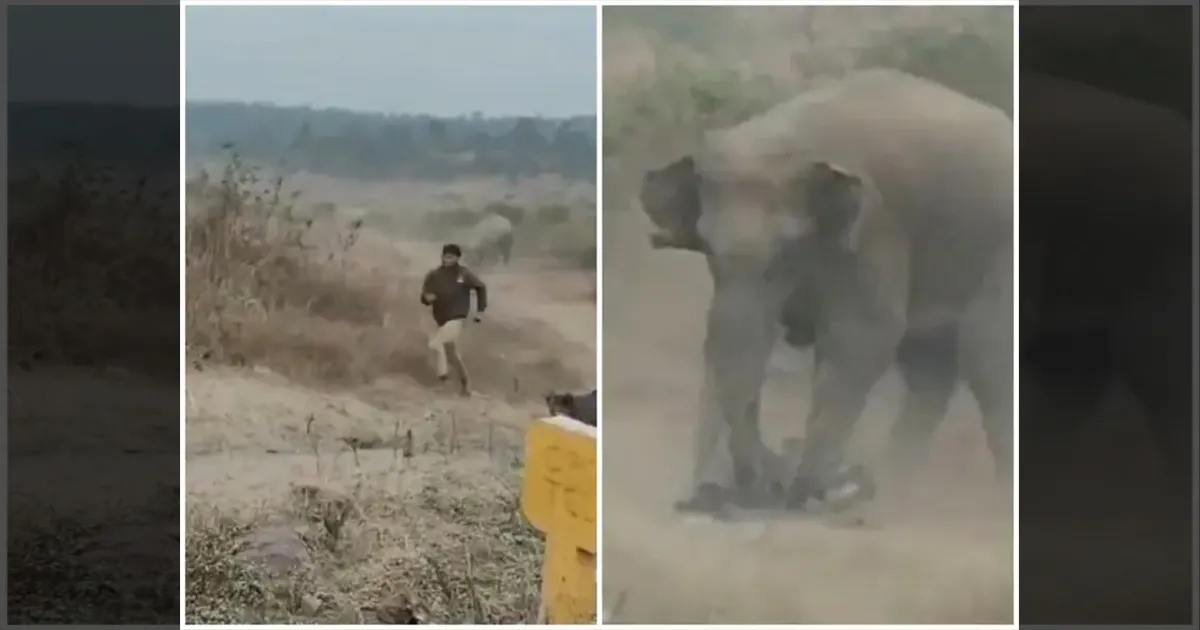 ஜார்க்கண்ட்: தொடரும் யானைகளின் அட்டகாசம்.. 24 மணி நேரத்தில் 5 பேர் உயிரிழப்பு..!!