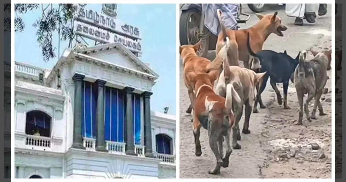 ரேபிஸ் தாக்குதல்: 8 மாதத்தில் தமிழ்நாட்டில் இத்தனை பேர் பலியா..! சுகாதாரத்துறை ஷாக் தகவல்..!!