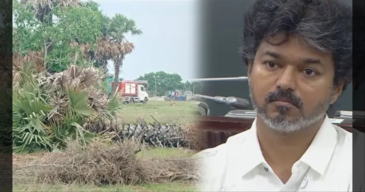 முதல்வர் விஜய் பிரச்சார நிகழ்ச்சிக்காக பனைமரங்கள் வெட்டப்பட்டதா? உள்ளூர் மக்கள் அதிர்ச்சி!!