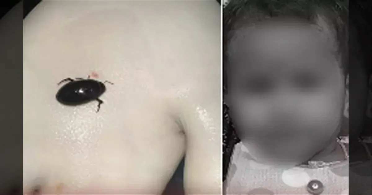வண்டை விழுங்கிய குழந்தை.. மூச்சுக்குழாயில் கடித்ததால் பறிபோன உயிர்.. திருவள்ளூரில் சோகம்..!!